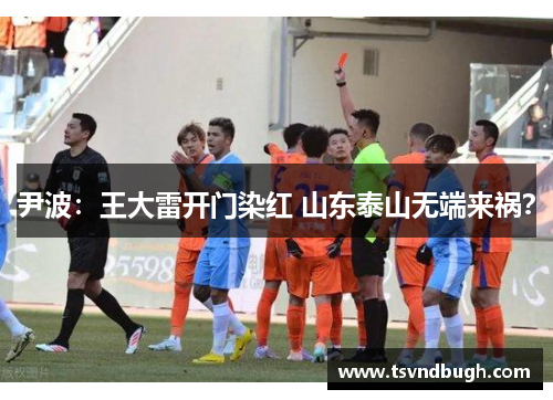 尹波：王大雷开门染红 山东泰山无端来祸？